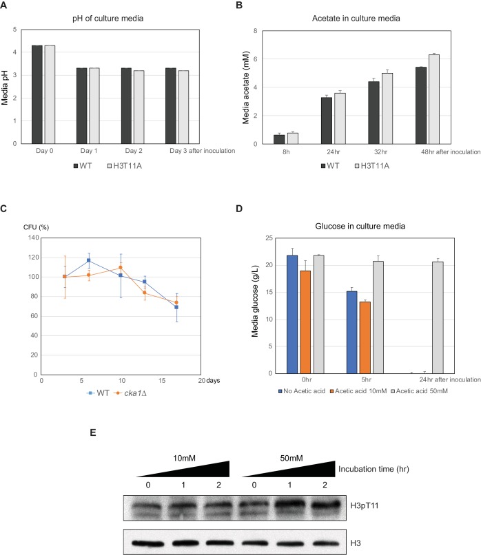 Figure 6—figure supplement 1.