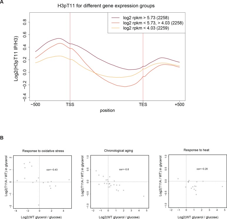 Figure 2—figure supplement 1.