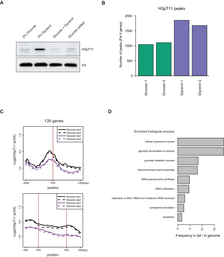 Figure 1—figure supplement 2.