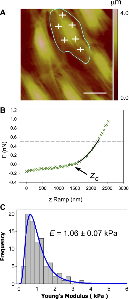 Fig. 1.