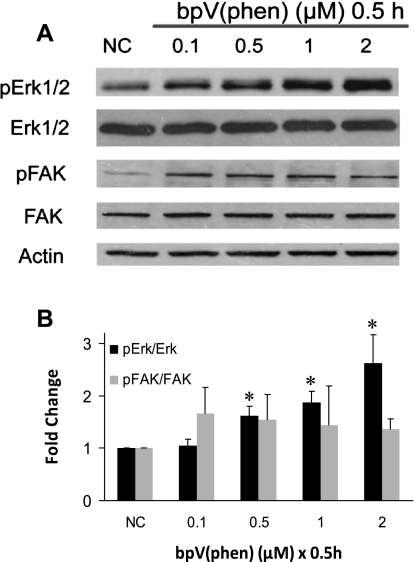 Fig. 9.