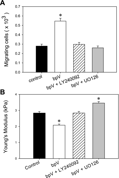 Fig. 10.