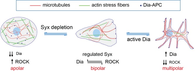 Fig 7