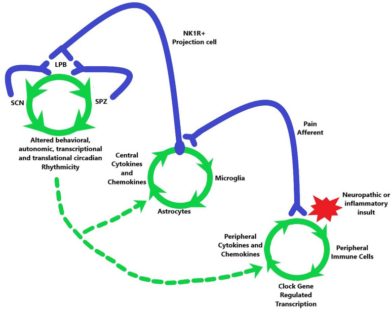 FIGURE 3