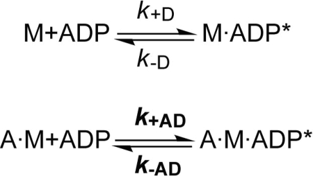 SCHEME 5