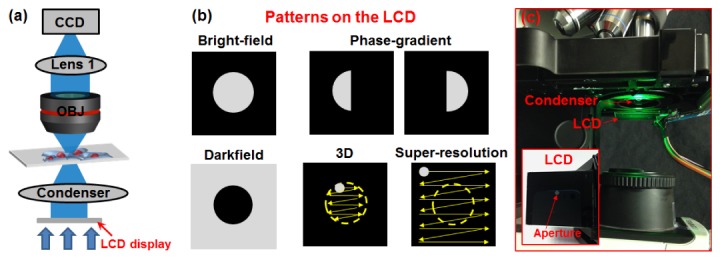 Fig. 1