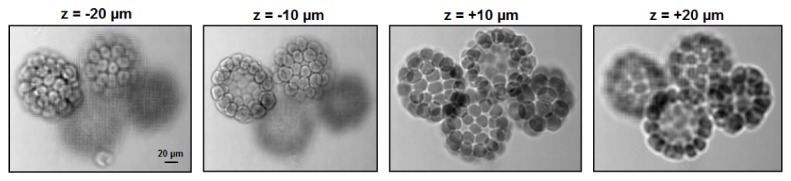 Fig. 3