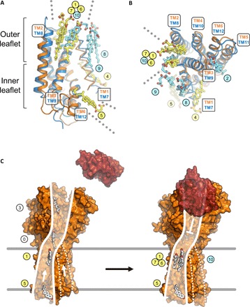 Fig. 4