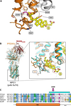 Fig. 3