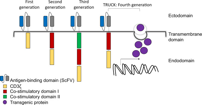 Fig. 3