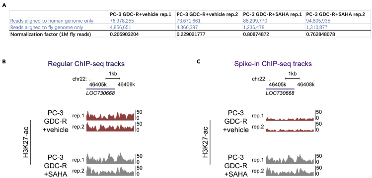 Figure 3