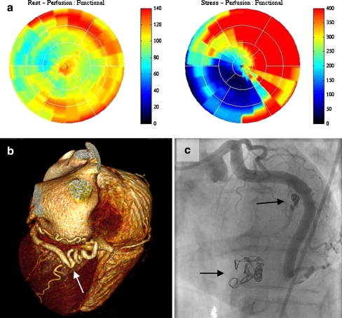 Fig. 4