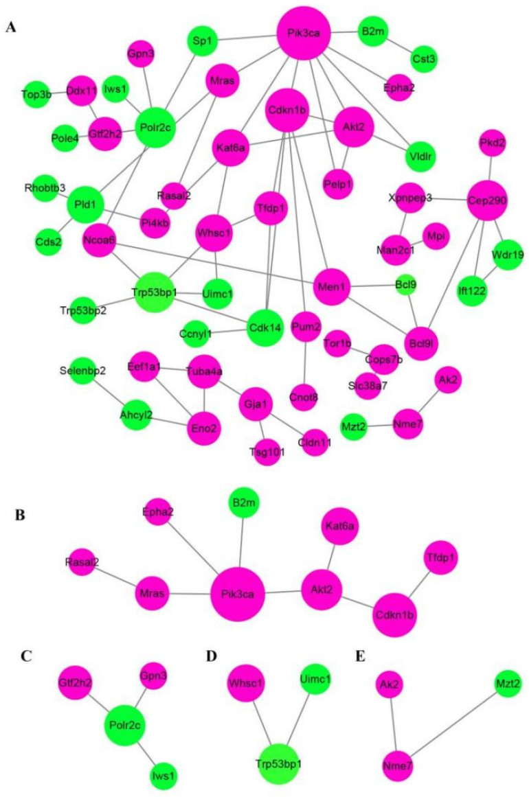 Figure 5