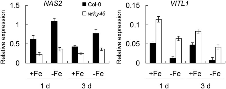 Figure 5.