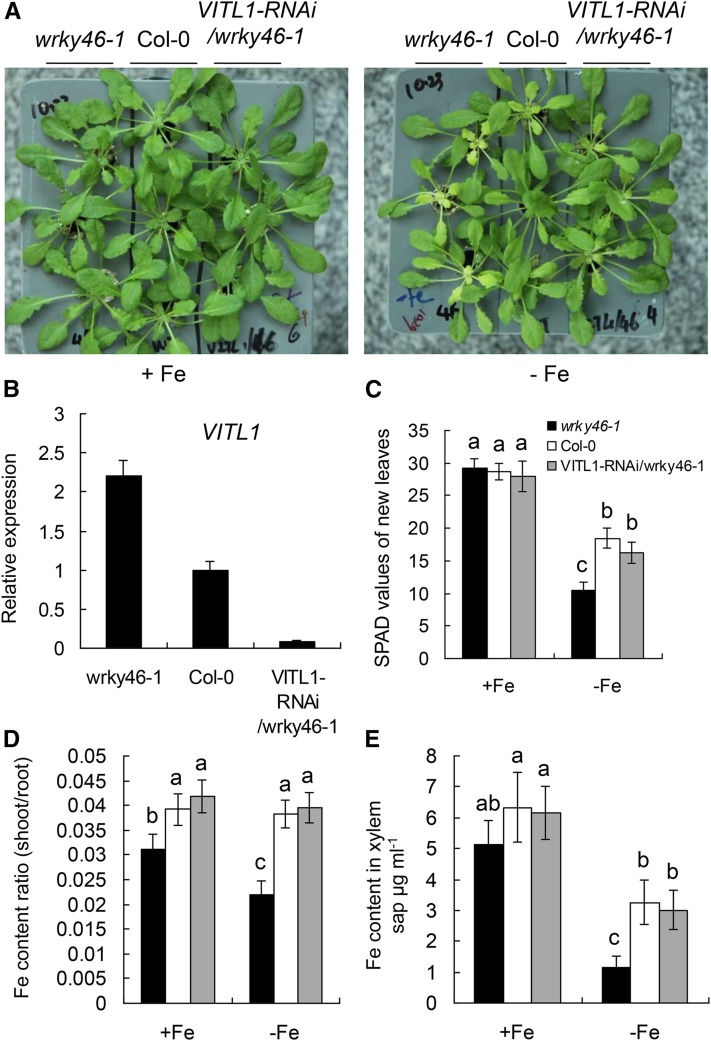 Figure 6.