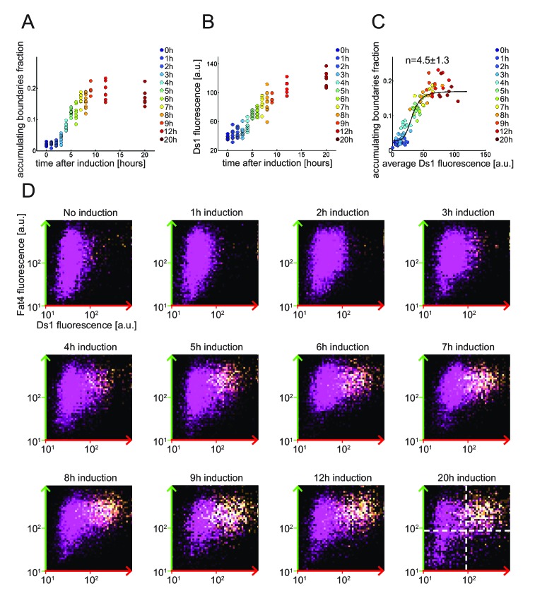 Figure 2—figure supplement 2.