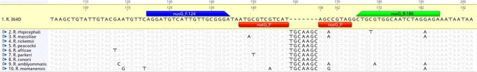 FIG 1