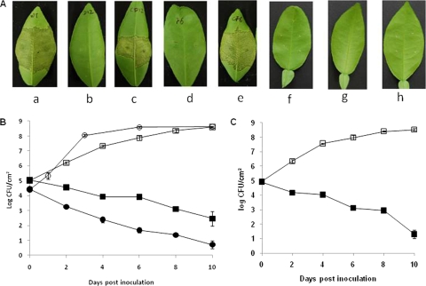 FIG. 3.