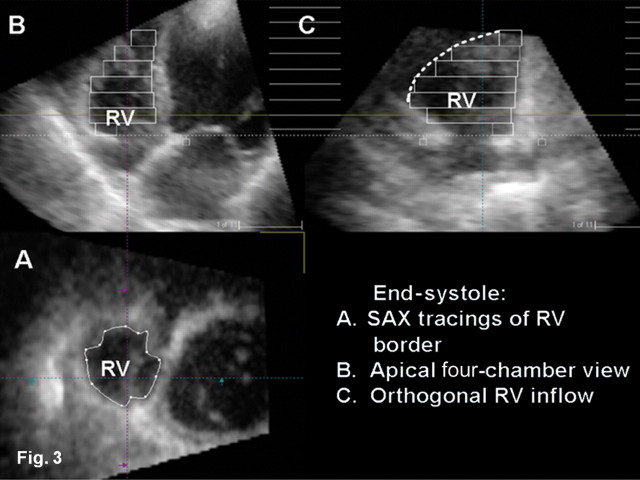 Figure 3