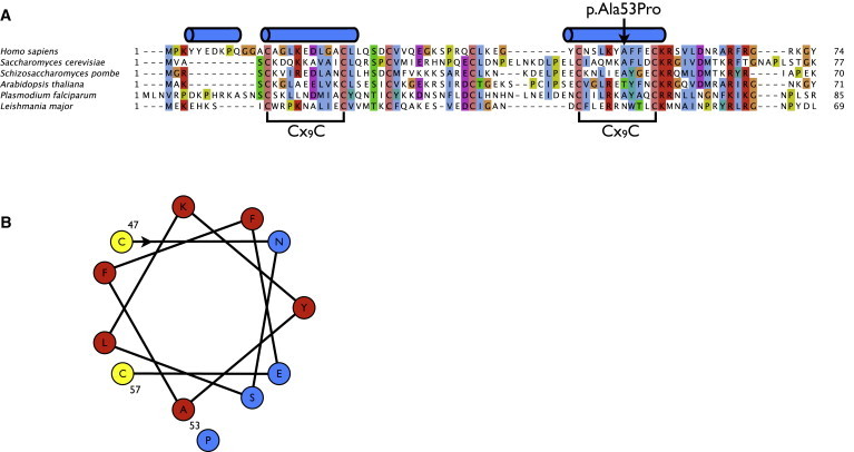 Figure 4