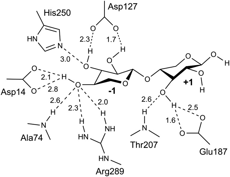 Fig. 5.