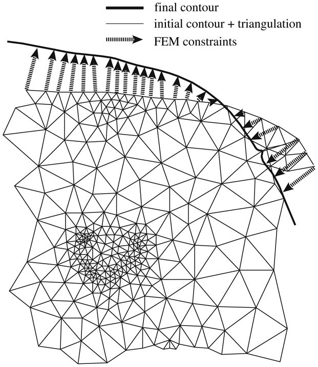 Fig. 6