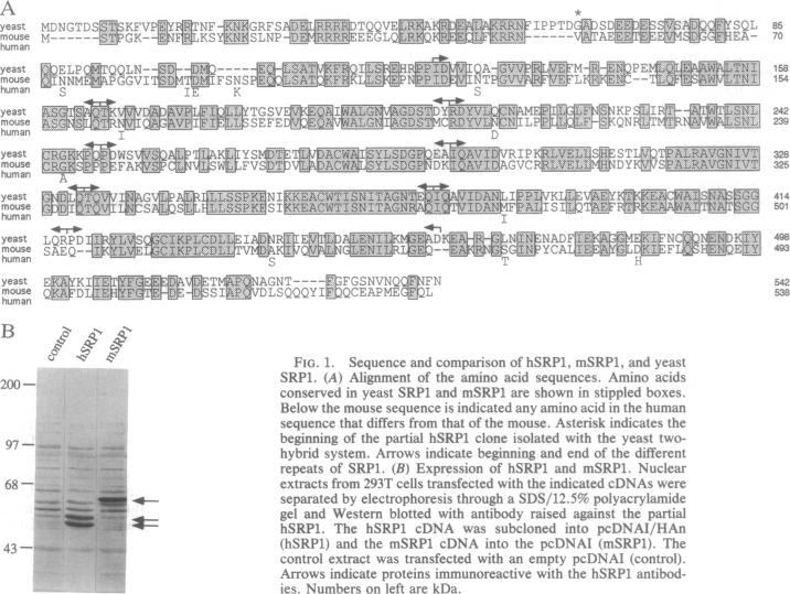 graphic file with name pnas01138-0263-a.jpg