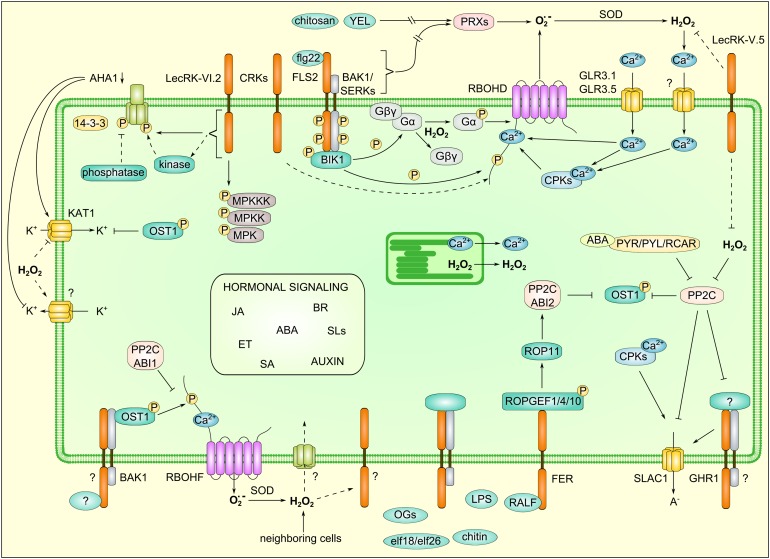 Figure 3.