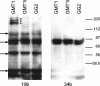 FIG. 8.