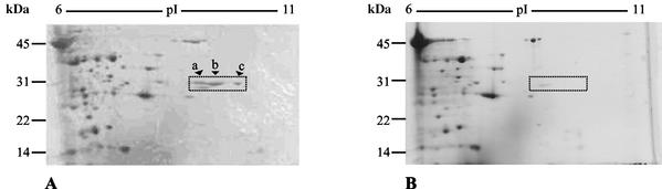 FIG. 6.