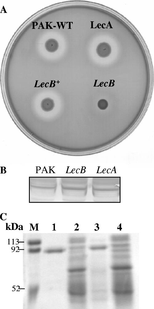 FIG. 4.