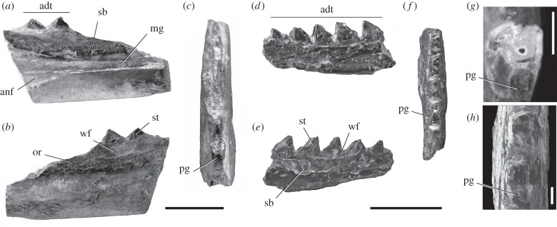 Figure 1.