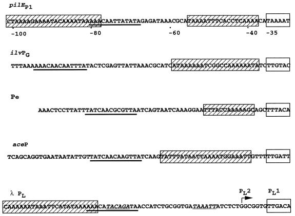 FIG. 5