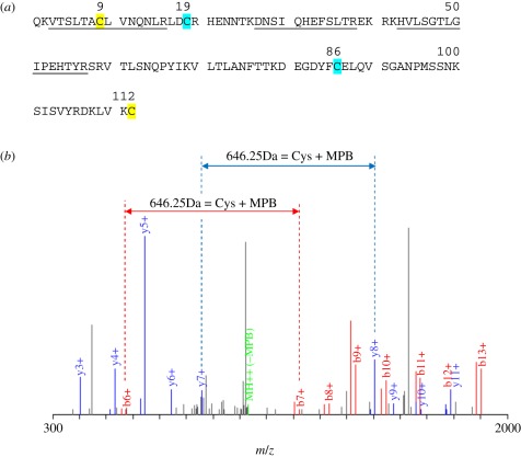 Figure 2.