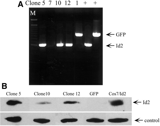 FIG. 3.