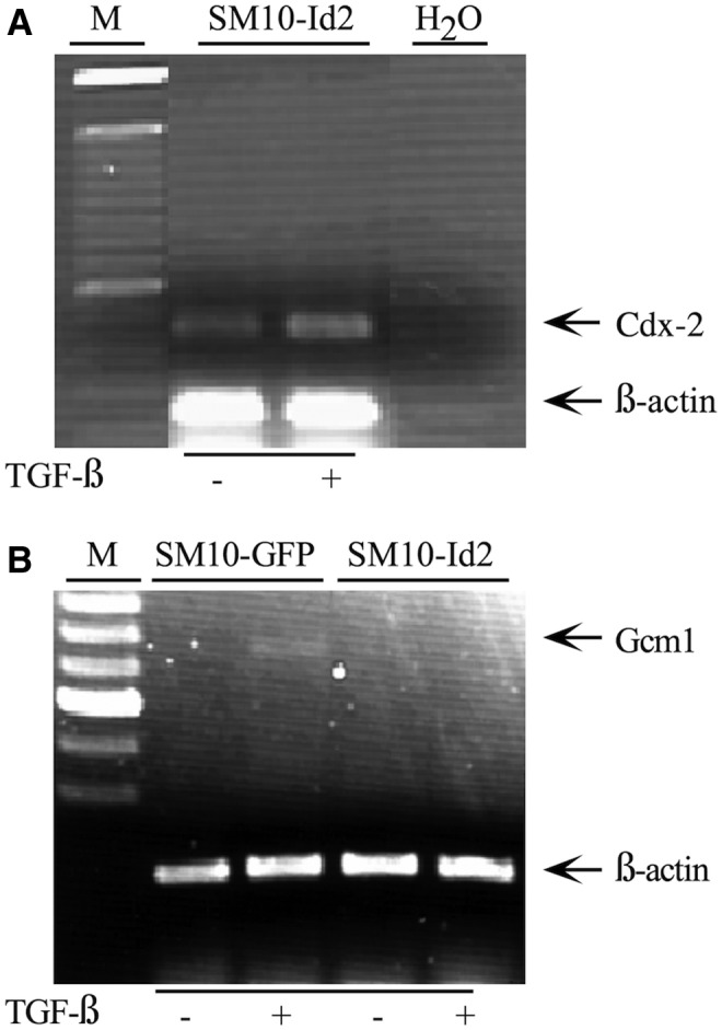 FIG. 8.