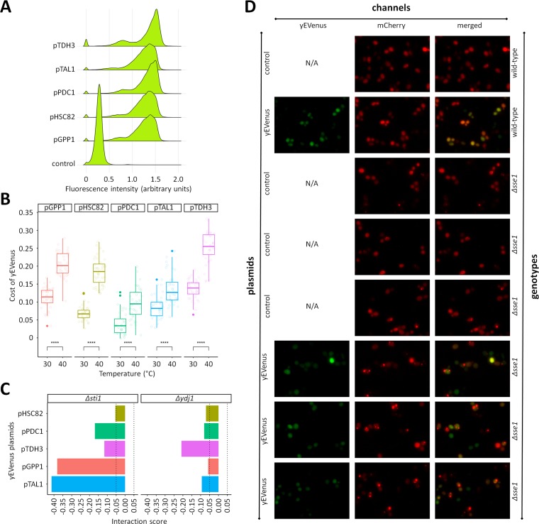 Figure 3—figure supplement 3.