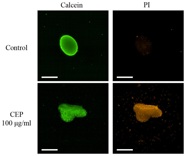 Figure 10.