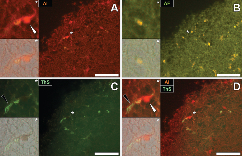 Fig. 4