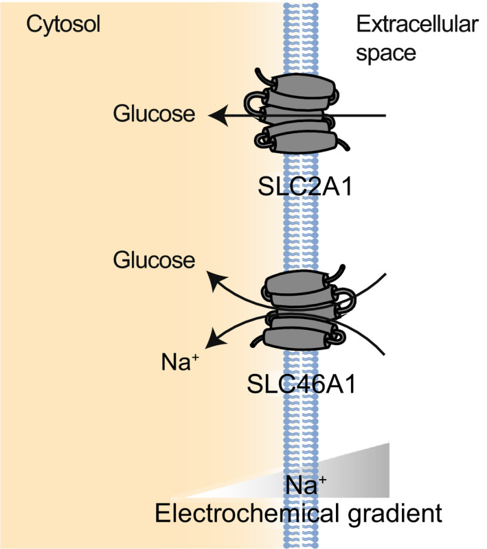 Fig. 1