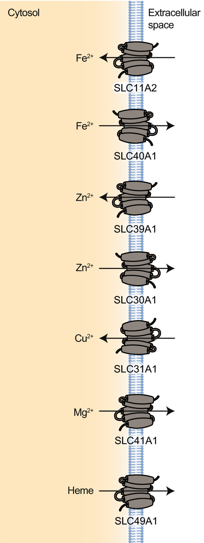 Fig. 7