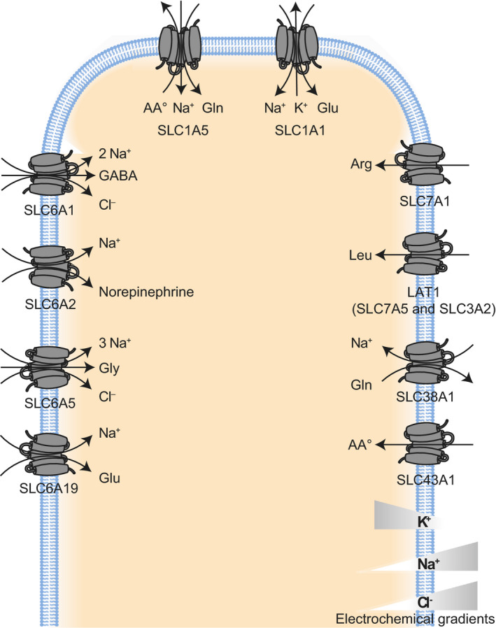 Fig. 2