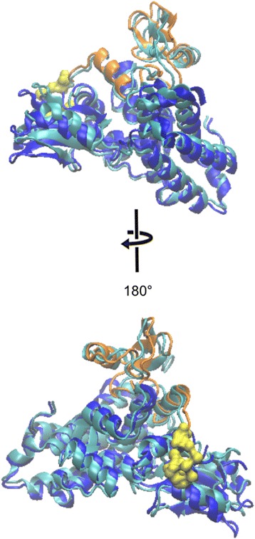 Fig. 3