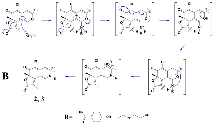 Scheme 1