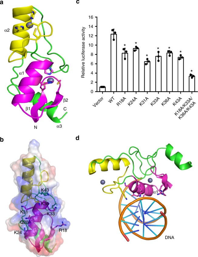 Fig. 8