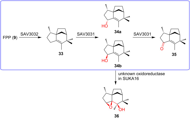 Figure 8