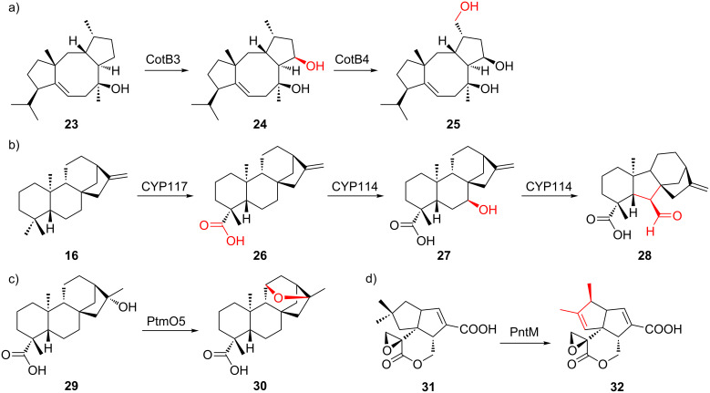 Figure 7