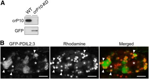 Figure 6.