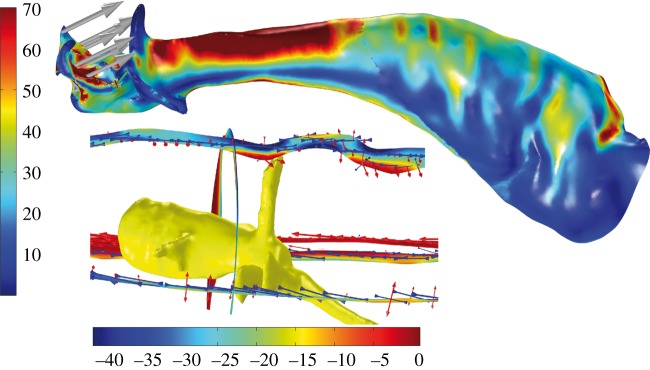 Figure 2.