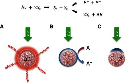 Fig. 4